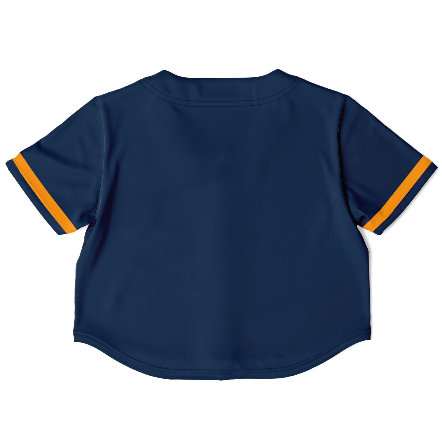 Whitney Young Magnet School Cropped Baseball Jersey | Whitney Young Dolphins