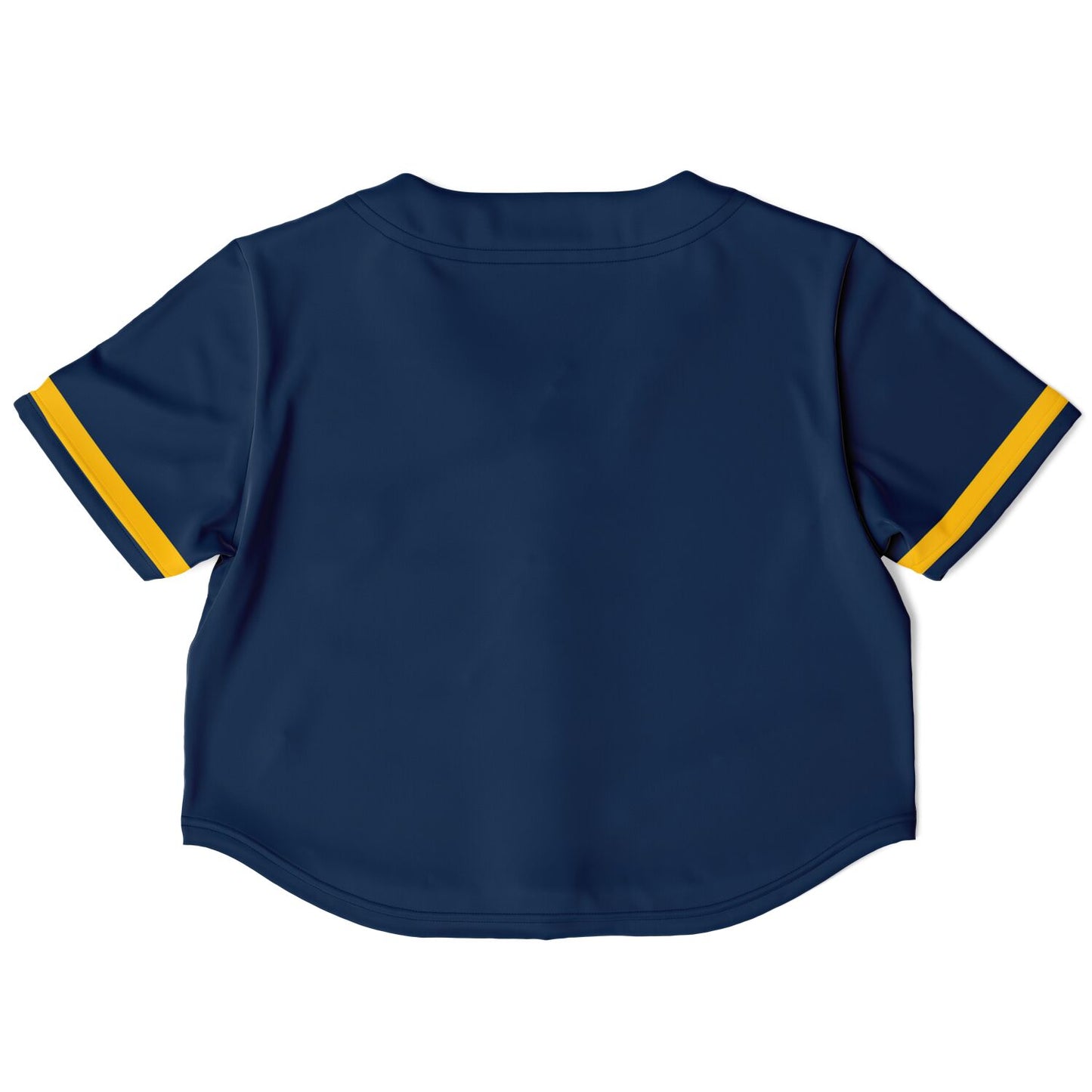 Lincoln Park High School Cropped Baseball Jersey | Lincoln Park Lions