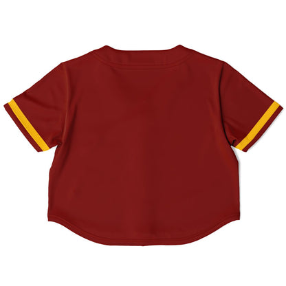 Lindblom Math and Science Academy Cropped Baseball Jersey | Lindblom Eagles