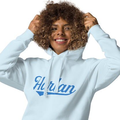 Embroidered Harland Hoodie | Harlan Falcons