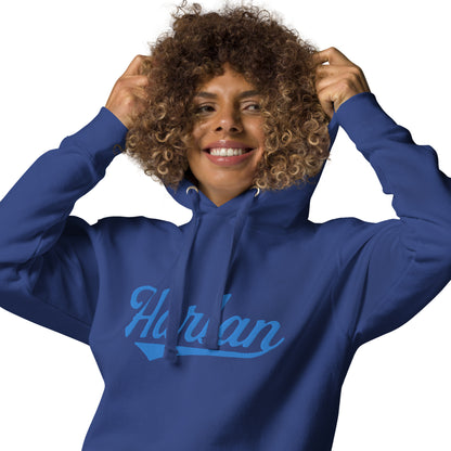 Embroidered Harland Hoodie | Harlan Falcons